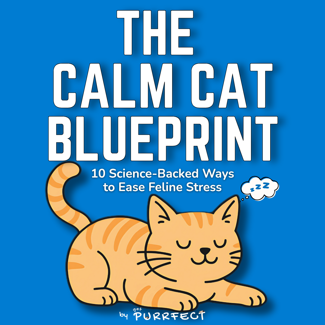 eBook: The Calm Cat Blueprint