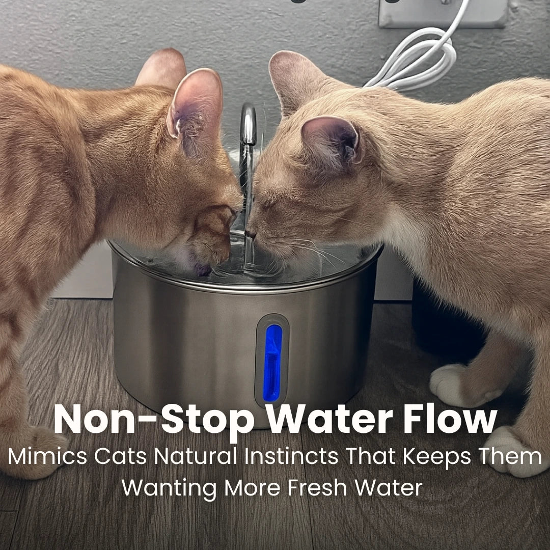 Purrfect Fountain™ Stainless Steel