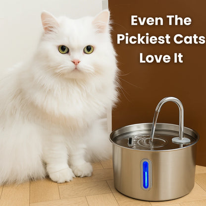 Purrfect Fountain™ Stainless Steel