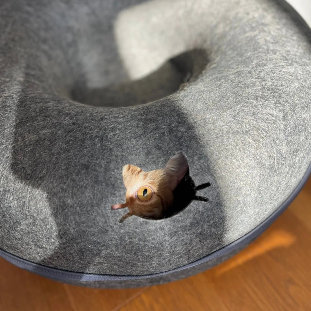 yuxrkxsabadjpcdtuqcl.webp__PID:ec083465-19b1-40aa-b154-f746dfe225db